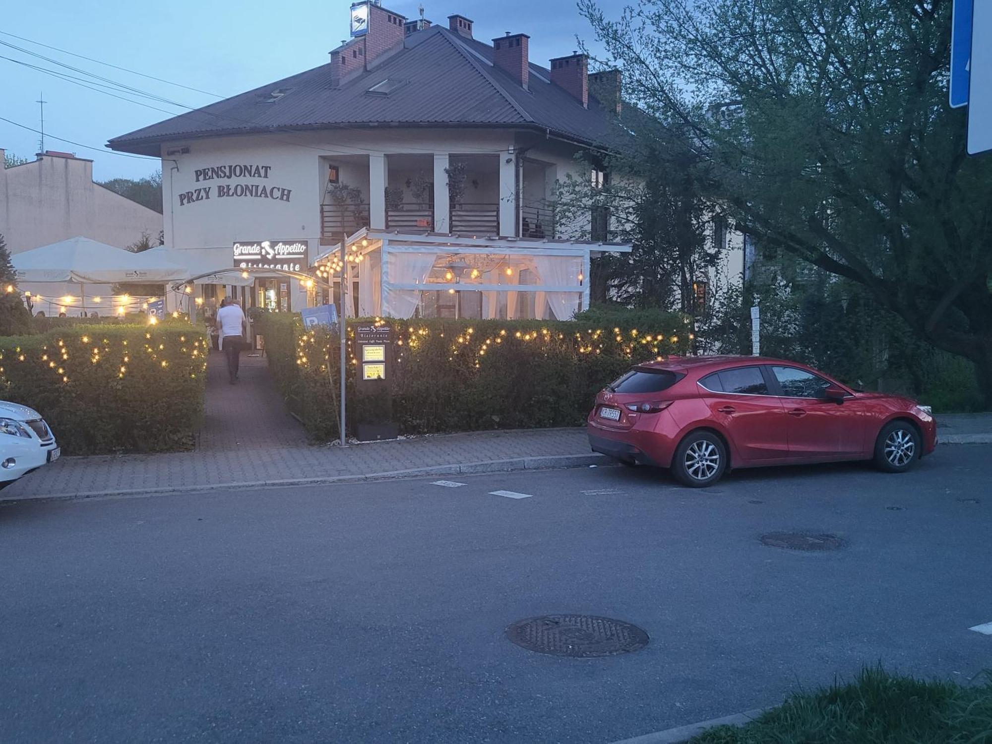 Przy Bloniach